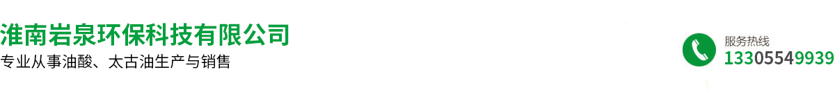 淮南岩泉环保科技有限公司
